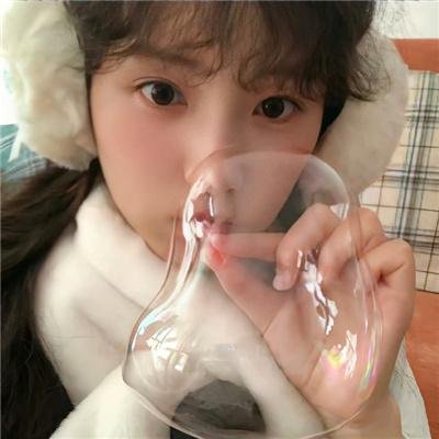 萌犬好声音2